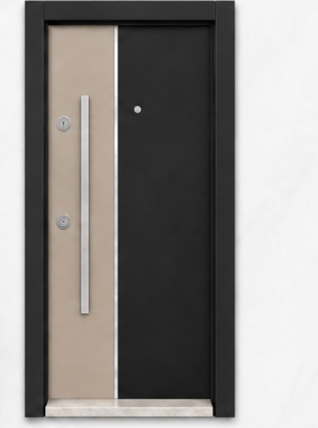 Model 1001