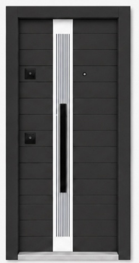 Model 1008